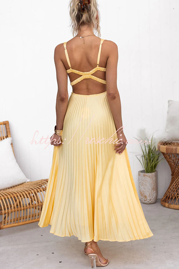 Lucy | Stunning Pleated Dress