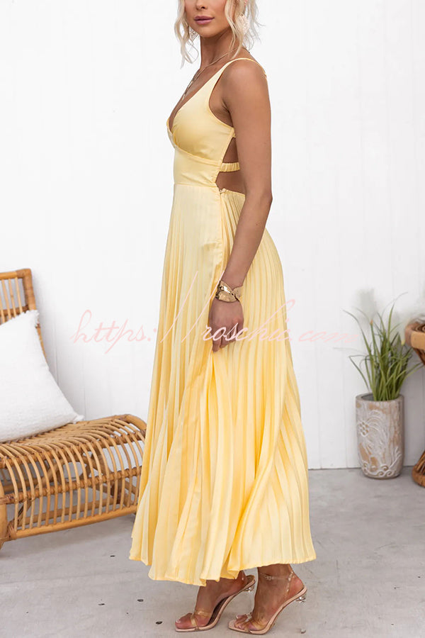 Lucy | Stunning Pleated Dress